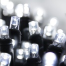  5mm Cool White LED Christmas Lights, Commercial, Black Wire