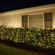 5MM 4'x6' Warm White LED Net Lights, Green Wire