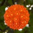 6" Amber 5mm LED Starlight Sphere, 70 Lights