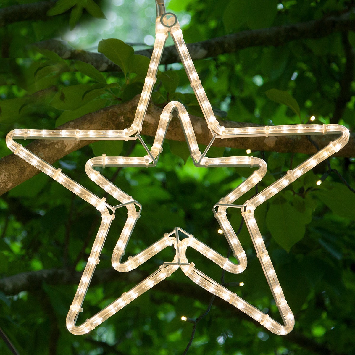 Hanging Star Lights
