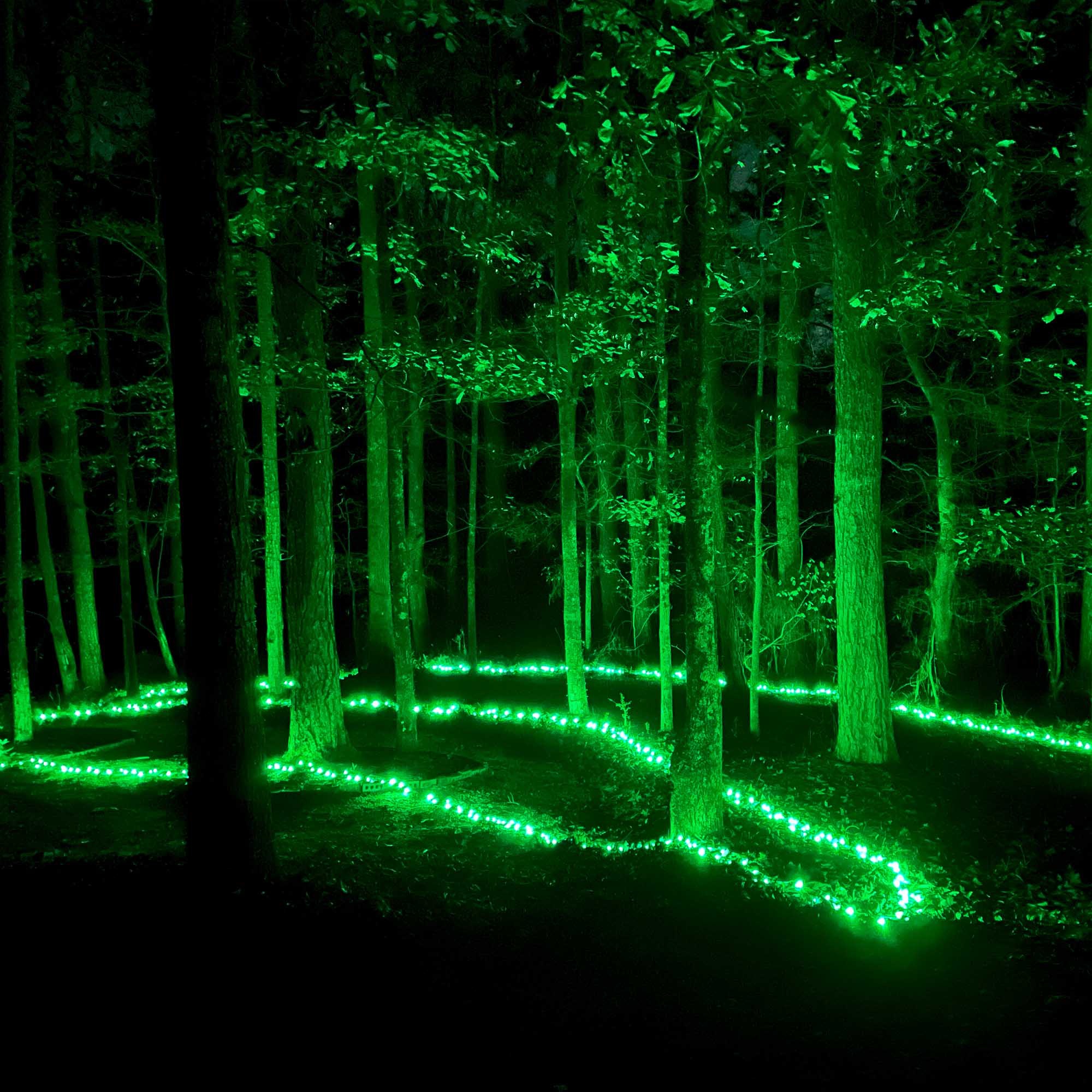 5MM Green LED Halloween Lights