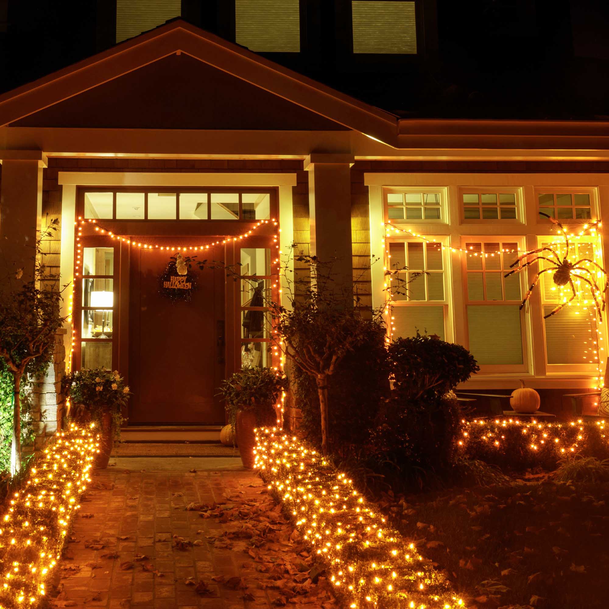 5MM LED Orange Halloween Lights