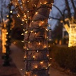 100 Clear Christmas Tree Mini Lights, 2.5" Spacing, Green Wire