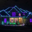 C9 Green / Purple OptiCore Commercial LED Halloween String Lights, 50 Lights, 50'