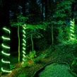 18' Green LED Rope Light, 2 Wire 1/2", 120 Volt
