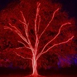 18' Red LED Rope Light, 2 Wire 1/2", 120 Volt