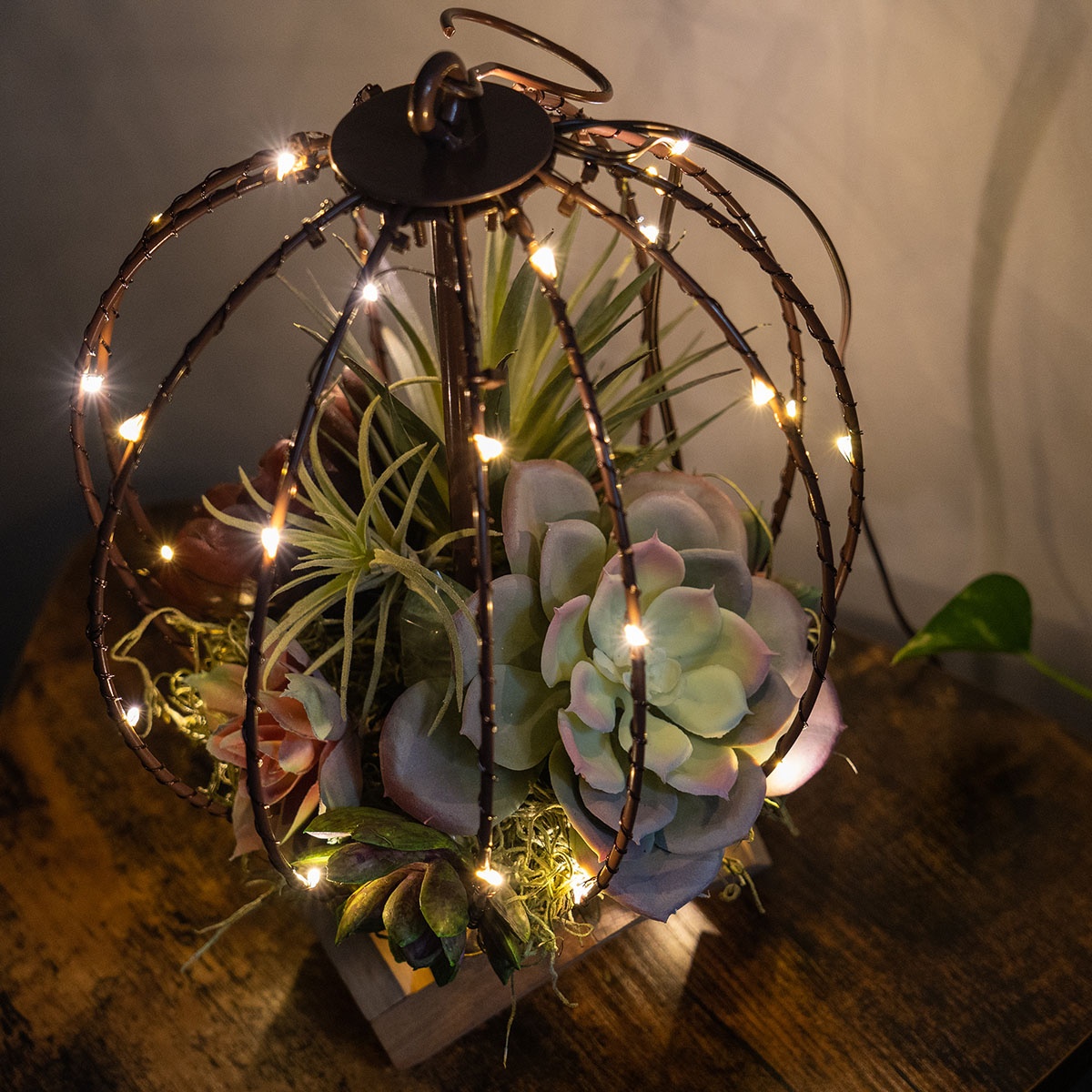 DIY Terrarium Light Ball With Succulents
