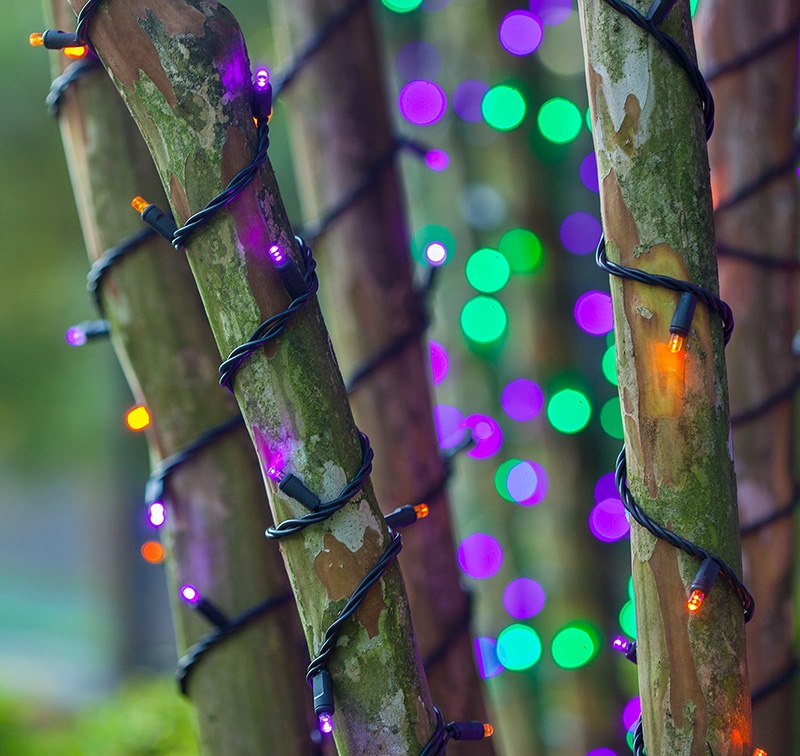 Trees Wrapped in Purple and Orange Lights on Halloween!