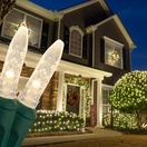 M5 Warm White LED Net Lights, Green Wire