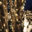 Commercial 150 Clear Christmas Mini Lights, 6" Spacing, Green Wire