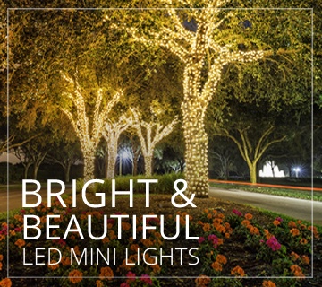LED Mini Christmas Lights