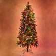 Slender Douglas Fir Prelit Tree