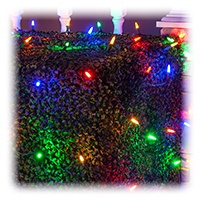 Multicolored Net Lights