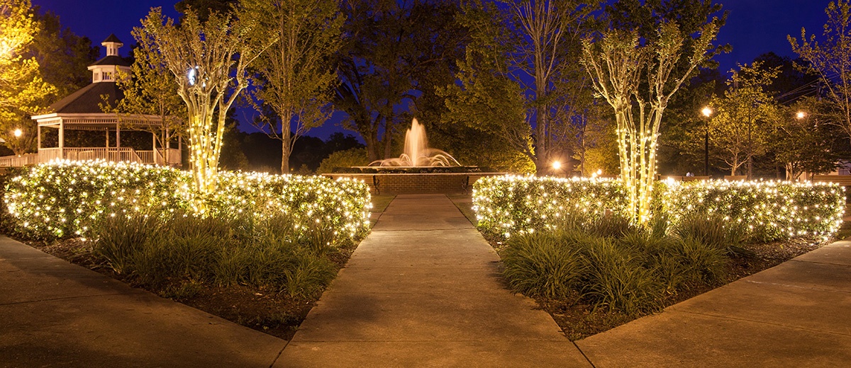 Christmas and Year Round Ideas for Decorating With Net Lights