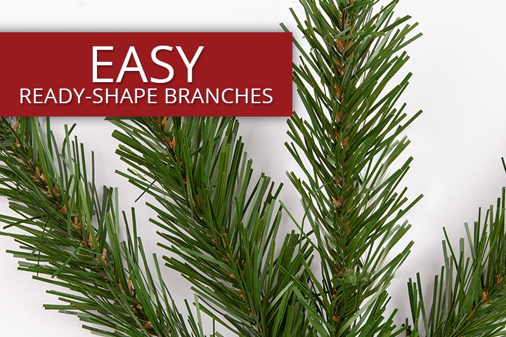 Olympia Pine Commercial Christmas Trees