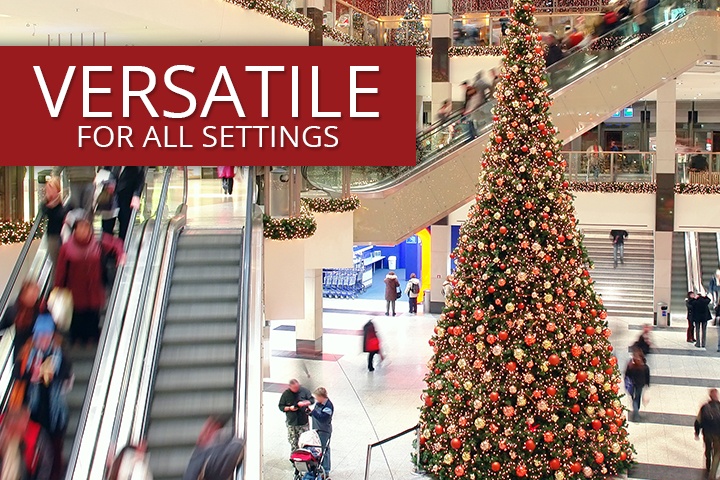 Olympia Pine Commercial Christmas Trees