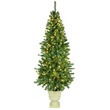 Olympia Pine Prelit Tree