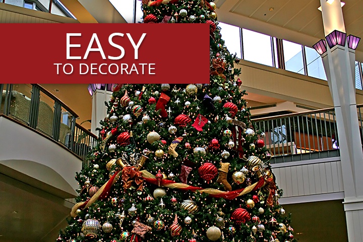 Olympia Pine Mini Frame Commercial Christmas Trees