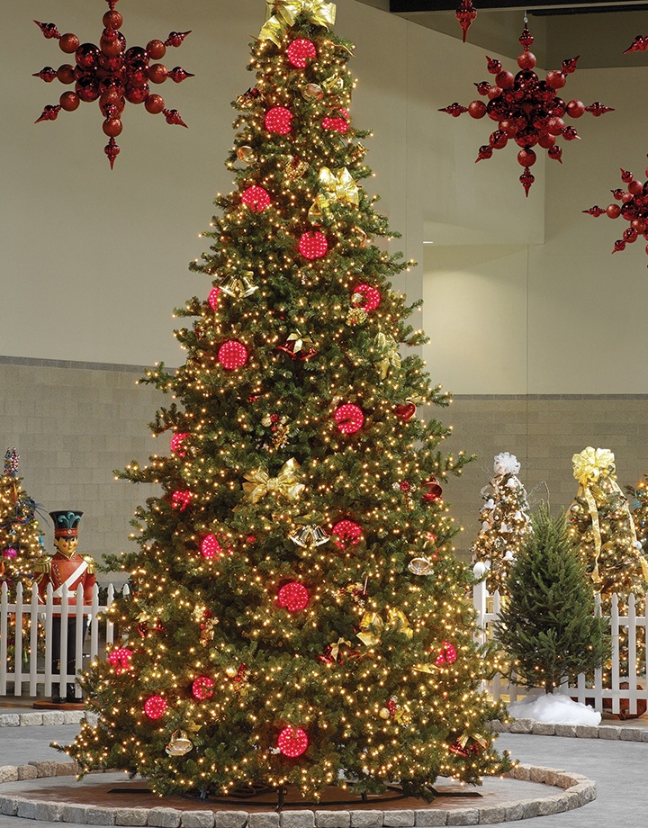Olympia Pine Mini Frame Commercial Christmas Trees