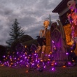 70 M5 Purple, Orange Halloween LED Icicle Lights Black Wire