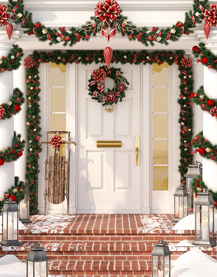 Sequoia Fir Commercial Christmas Trees