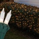Commercial Clear Net Lights, Green Wire