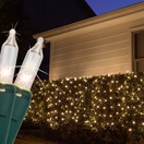 Clear Twinkle Net Lights, Green Wire