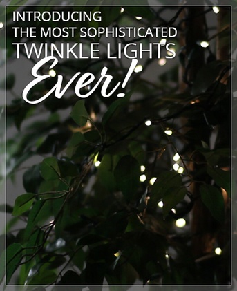 SoftTwinkle LED Christmas Lights