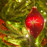 Recommended Number of Ornaments for Trees