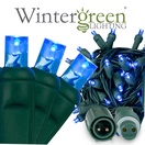 WeatherPRO<sup>TM</sup> 5mm Blue LED Christmas Lights