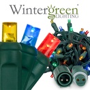 WeatherPRO<sup>TM</sup> 5mm Multi Color LED Christmas Lights