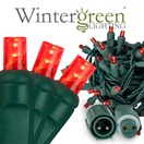 WeatherPRO<sup>TM</sup> 5mm Red LED Christmas Lights
