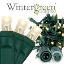 WeatherPRO<sup>TM</sup> 5mm Warm White LED Christmas Lights