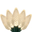 25 C9 Warm White LED Christmas Lights, 8" Spacing