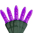  M5 Purple LED Christmas Lights