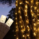 5mm Warm White LED Tree Wrap Lights, Brown Wire