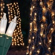 2' x 8' Trunk Wrap - 100 Clear Lights, Green Wire