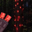 StretchNet Pro 20" x 45" Tree Wrap Lights, 5mm LED, 50 Red Lights, Brown Wire