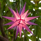 14" Purple LED Moravian Star