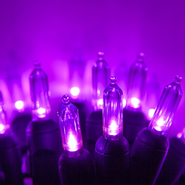 Purple Halloween Lights