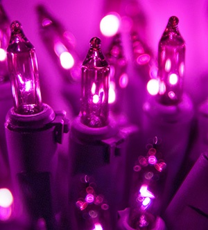 Purple Incandescent Mini Lights