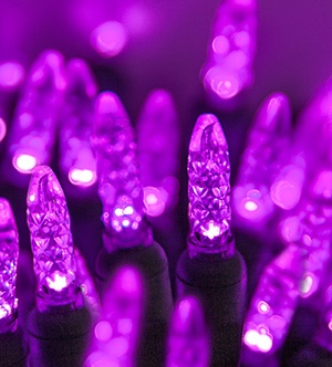 Purple LED Mini Lights