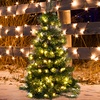 Outdoor Christmas Trees