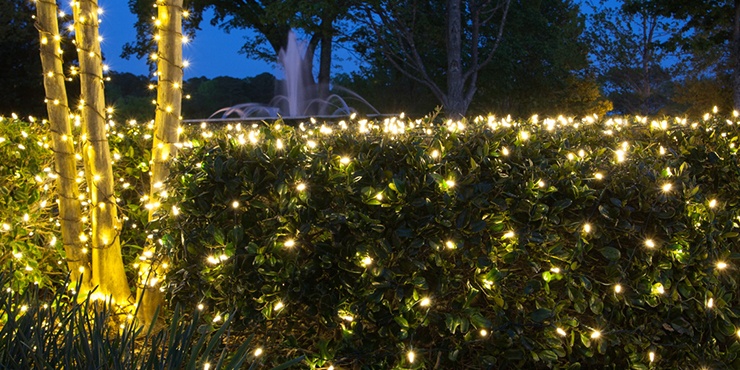 Net Lights