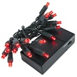 20 Red Battery Operated 5mm LED Christmas Lights, Green Wire