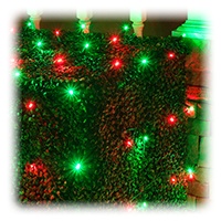 Red and Green Net Lights