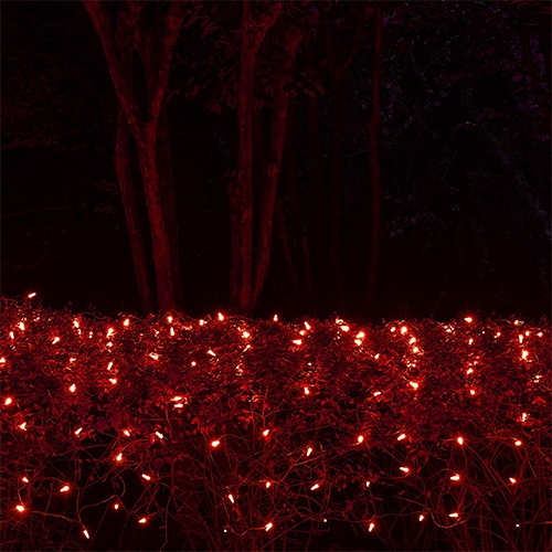 red incan net lights