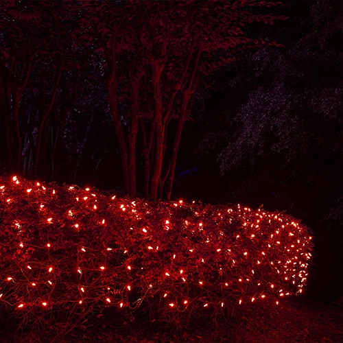 red net lights