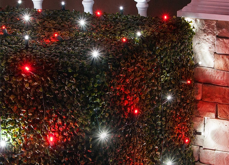Red and Cool White LED Christmas Net Lights