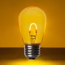 S14 Gold Glass FlexFilament TM LED Edison Bulb, Transparent